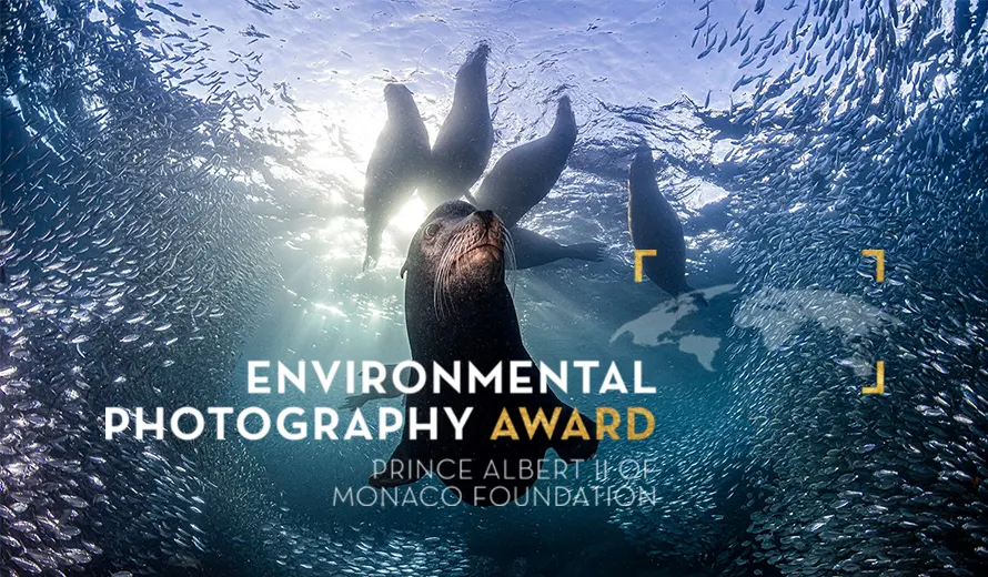 Environmental Photography Award 2025