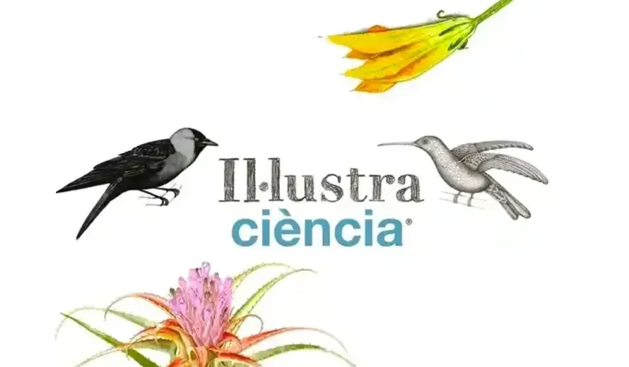 Illustraciència International Illustration Award 2025