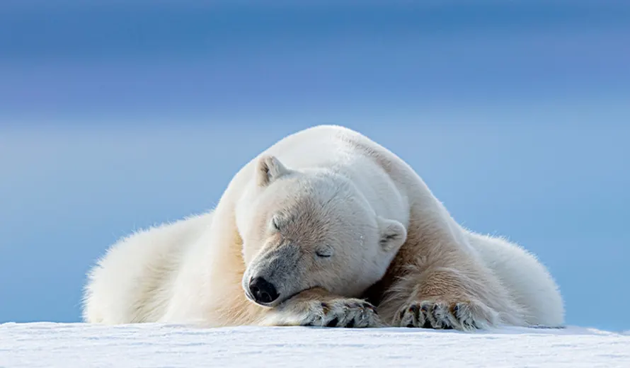 Nature TTL Photographer of the Year 2025