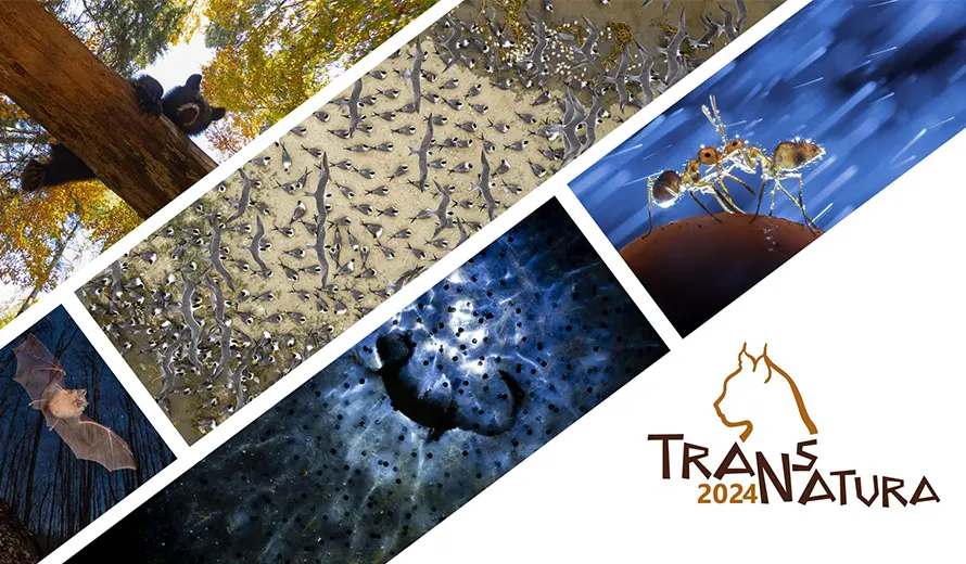 TransNatura 2024 International Nature Photo Contest